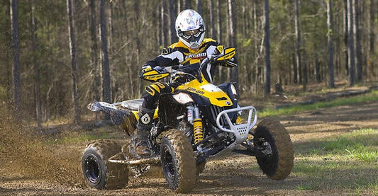 2009-2010 CAN-AM DS450